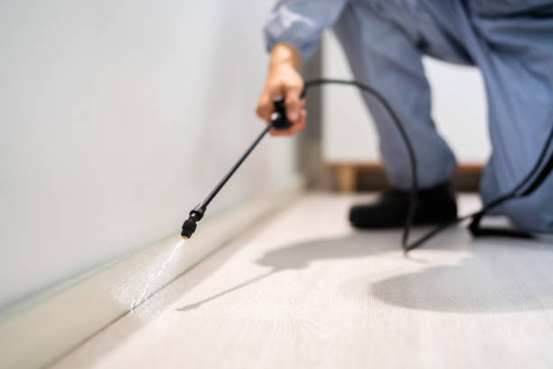 Licensed Ant Control service in Hilliard, FL - Nex Pest Control