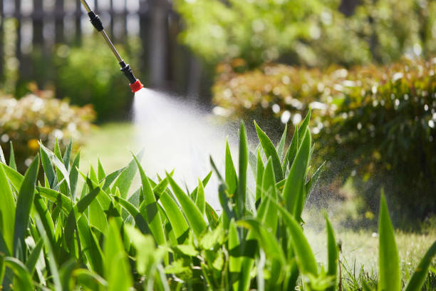 24/7 Emergency Ant Control experts in Hilliard, FL