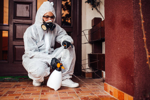 Reliable Ant Control contractor in Hilliard, FL by Nex Pest Control